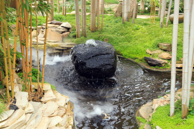 Comment créer un jardin japonais chez soi ?